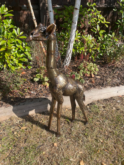 Gorgeous Giraffe Family Metal Set