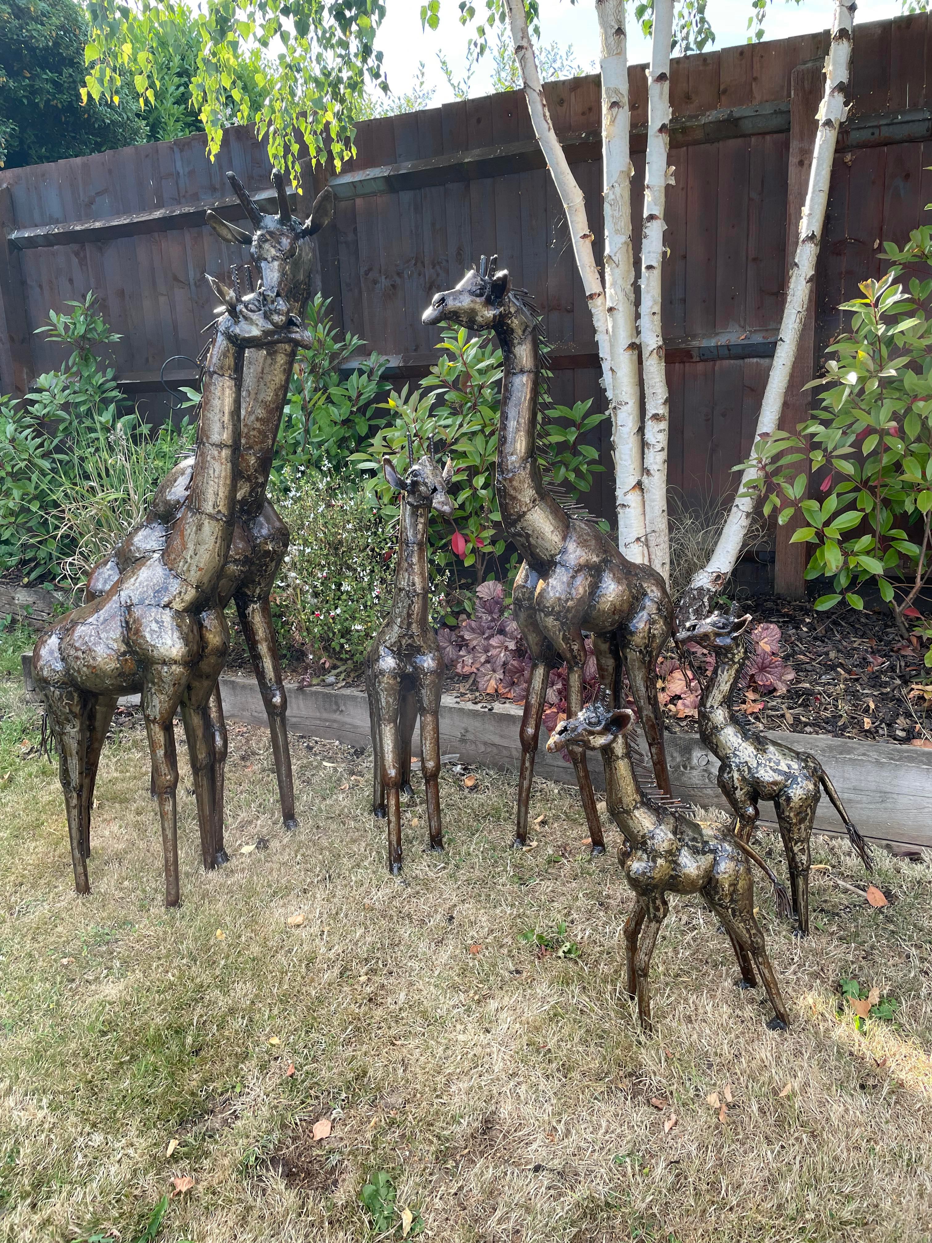 Gorgeous Giraffe Family Metal Set