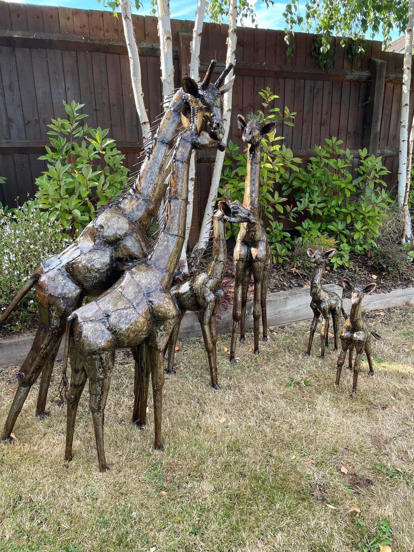 Gorgeous Giraffe Family Metal Set