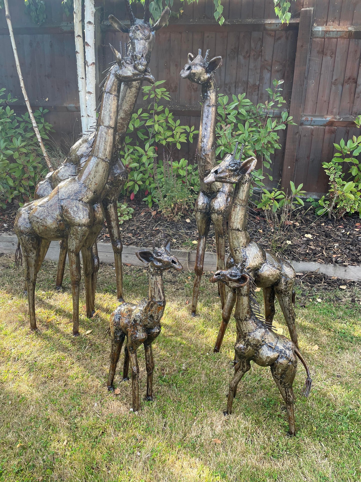 Gorgeous Giraffe Family Metal Set