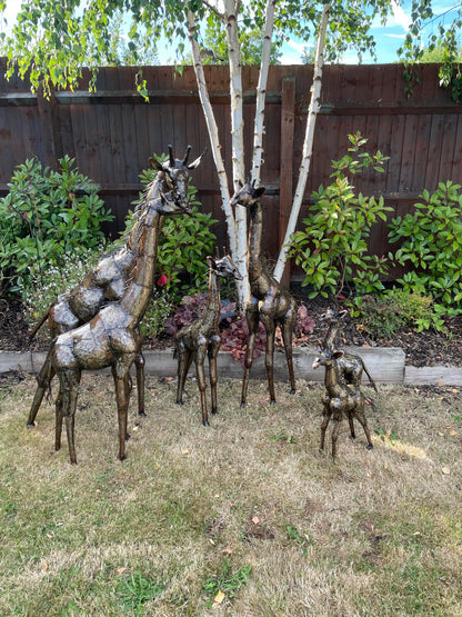 Gorgeous Giraffe Family Metal Set