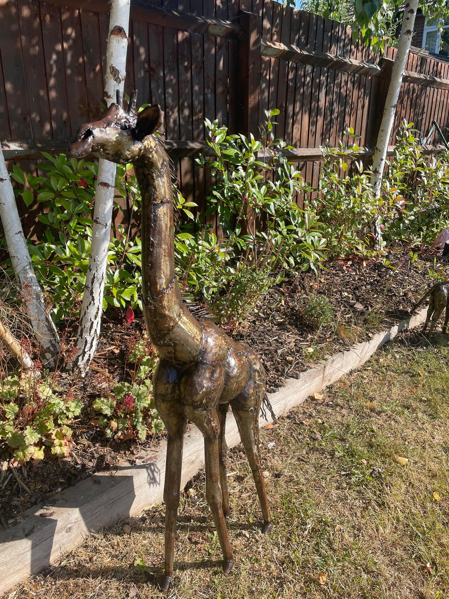 Gorgeous Giraffe Family Metal Set
