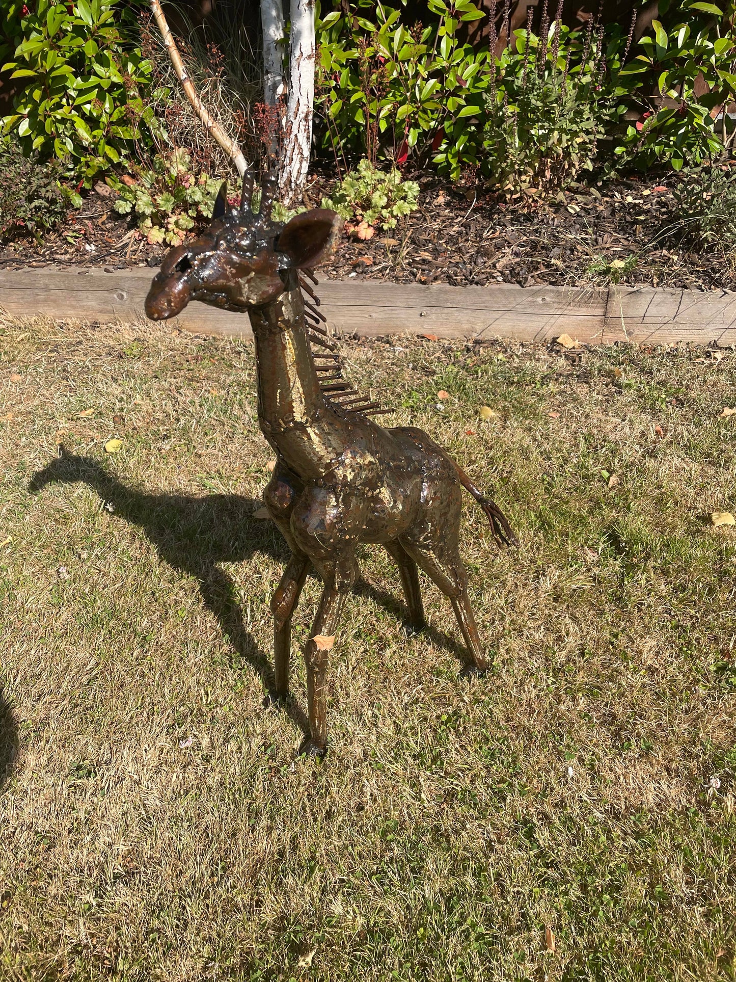 Gorgeous Giraffe Family Metal Set