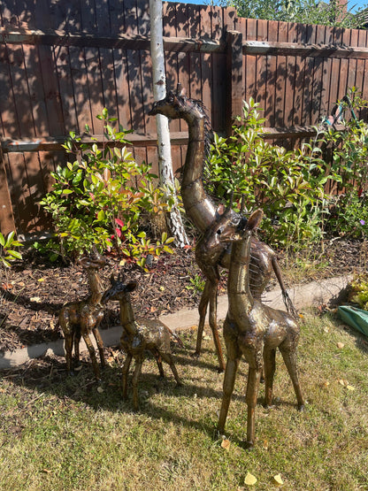 Gorgeous Giraffe Family Metal Set