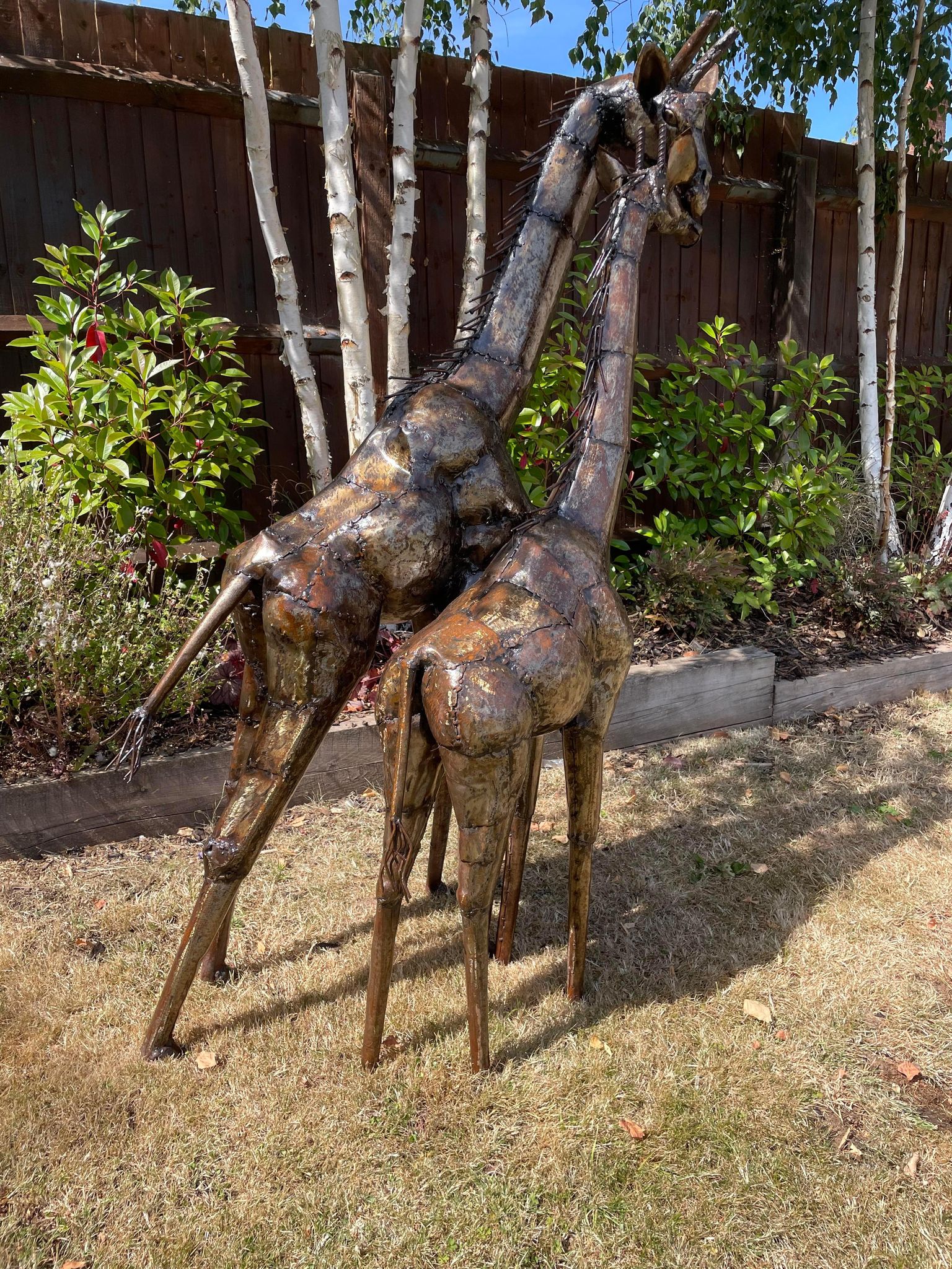 Large Metal Preening Giraffe's