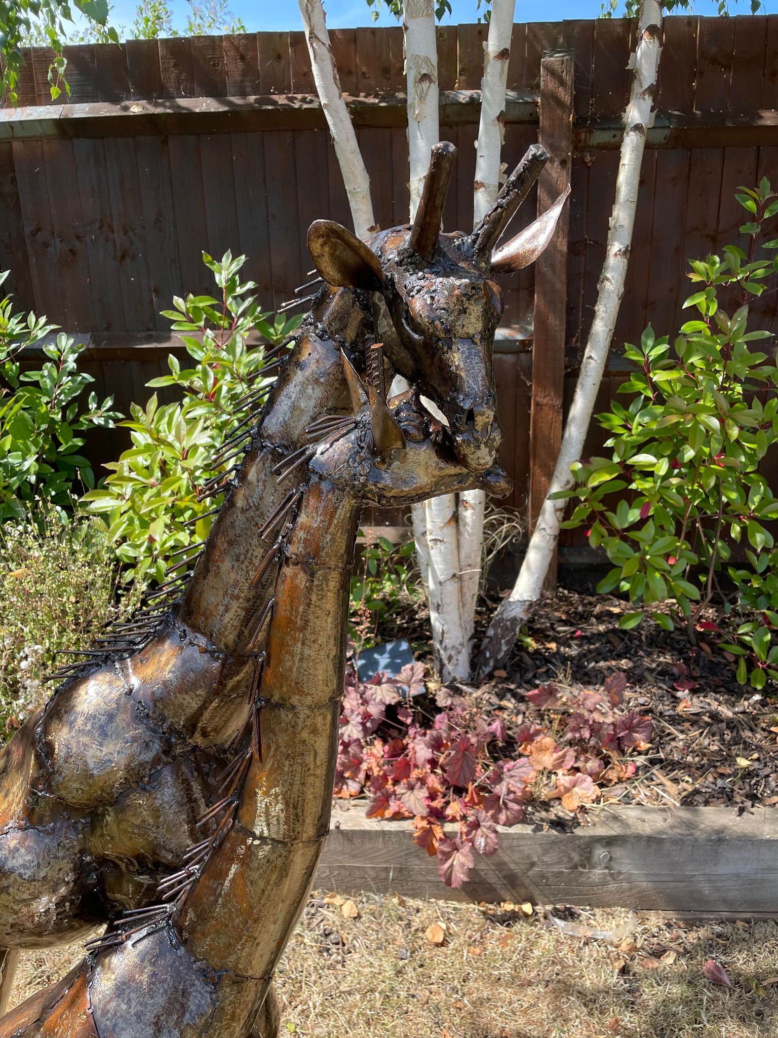 Large Metal Preening Giraffe's