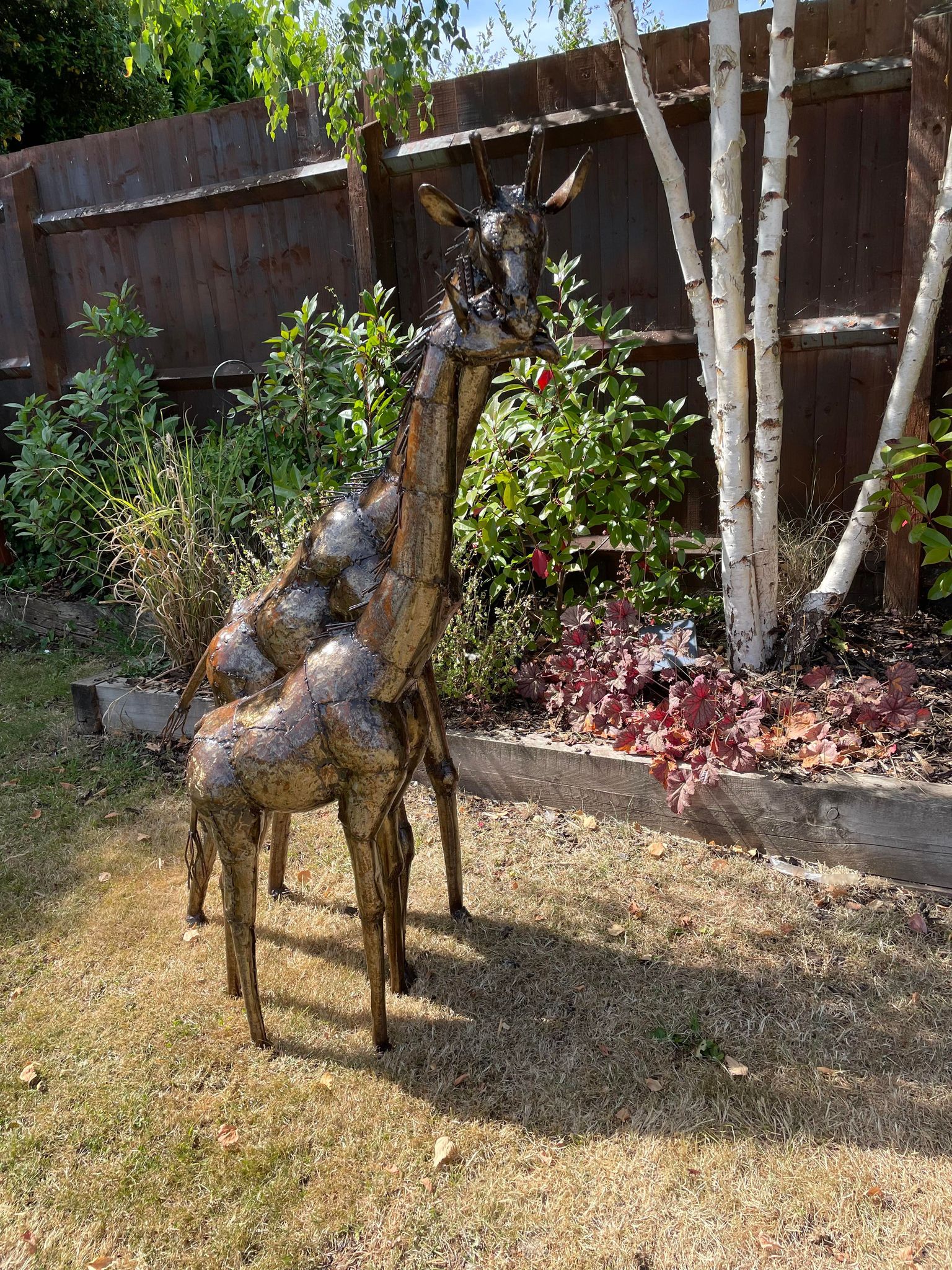 Large Metal Preening Giraffe's