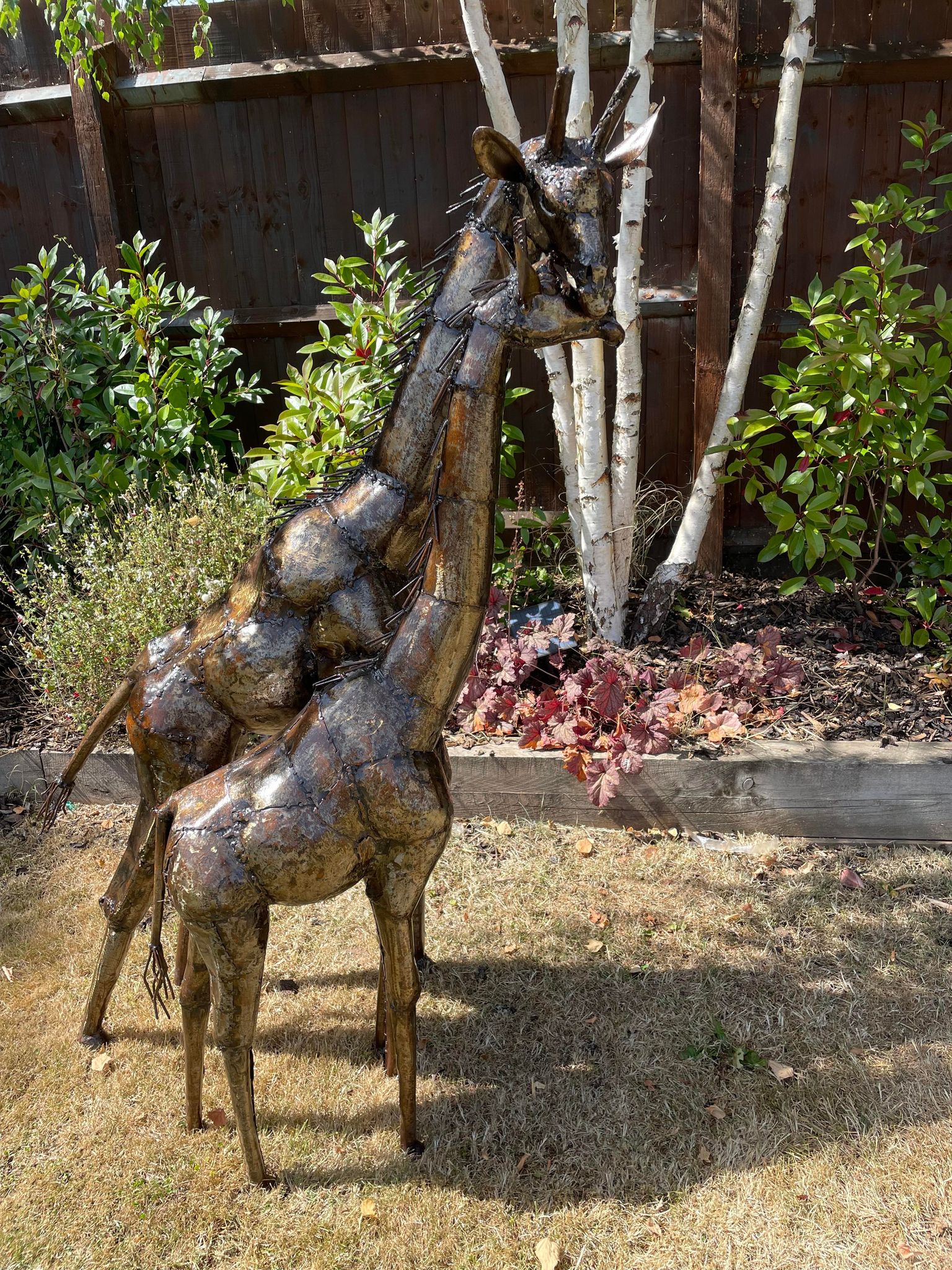 Large Metal Preening Giraffe's