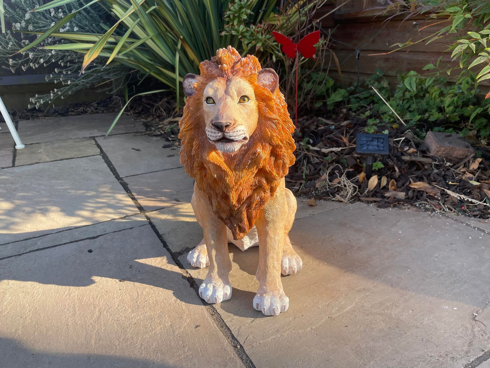 Sitting Lion