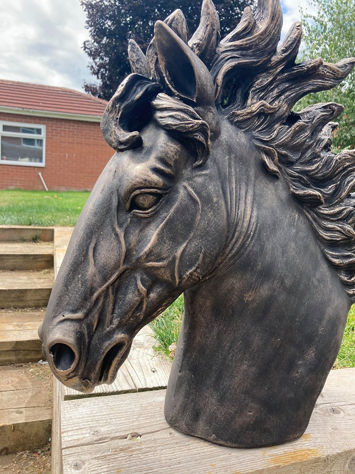 Stunning Stallion Bust
