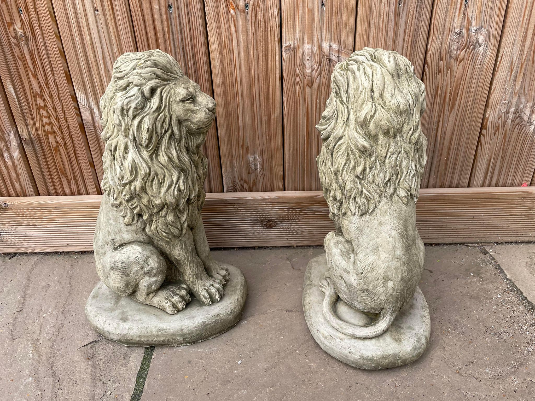 Pair of Sitting Lion Statue's