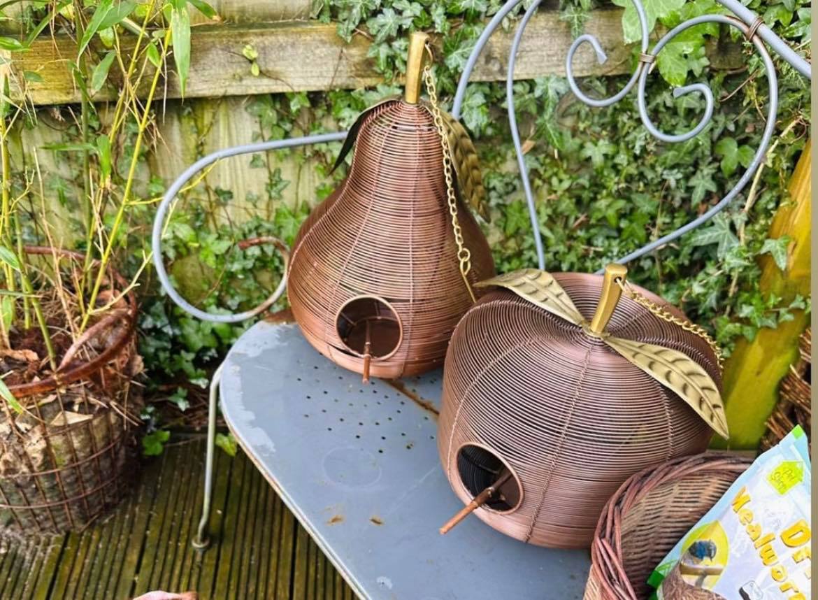 Apple + Pear Bird Feeder Combo