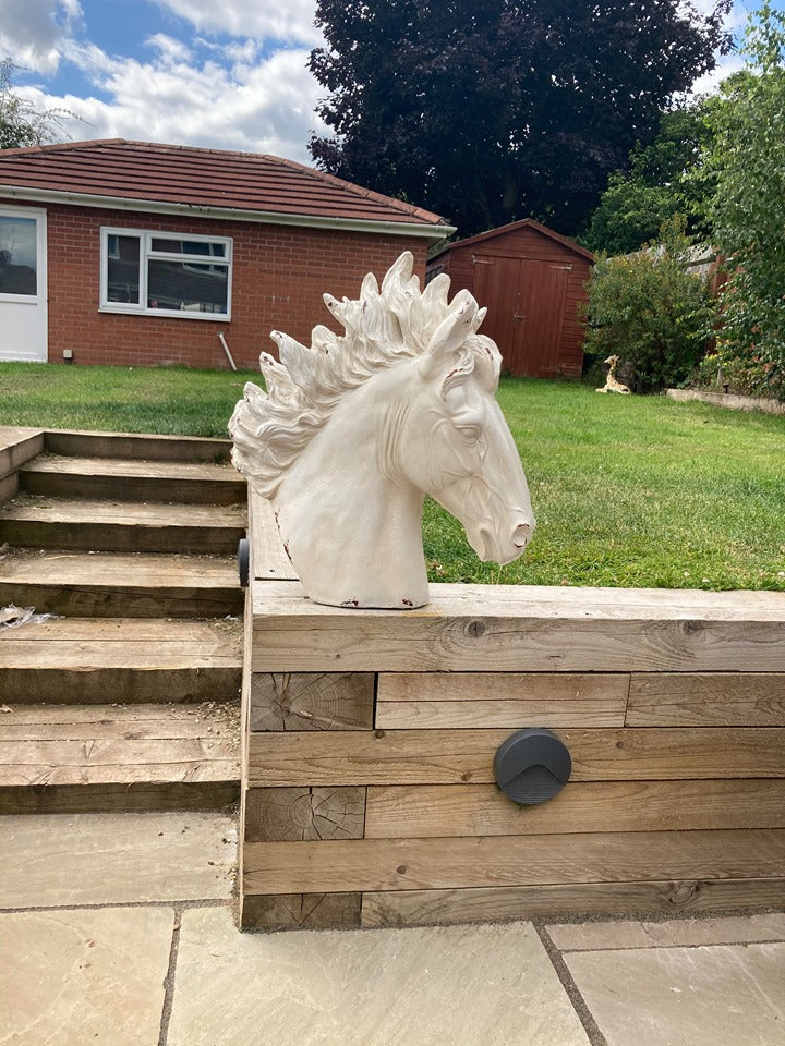 Stunning Stallion Bust