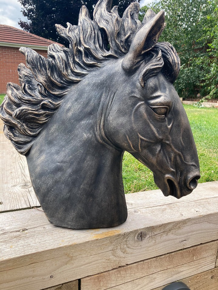 Stunning Stallion Bust