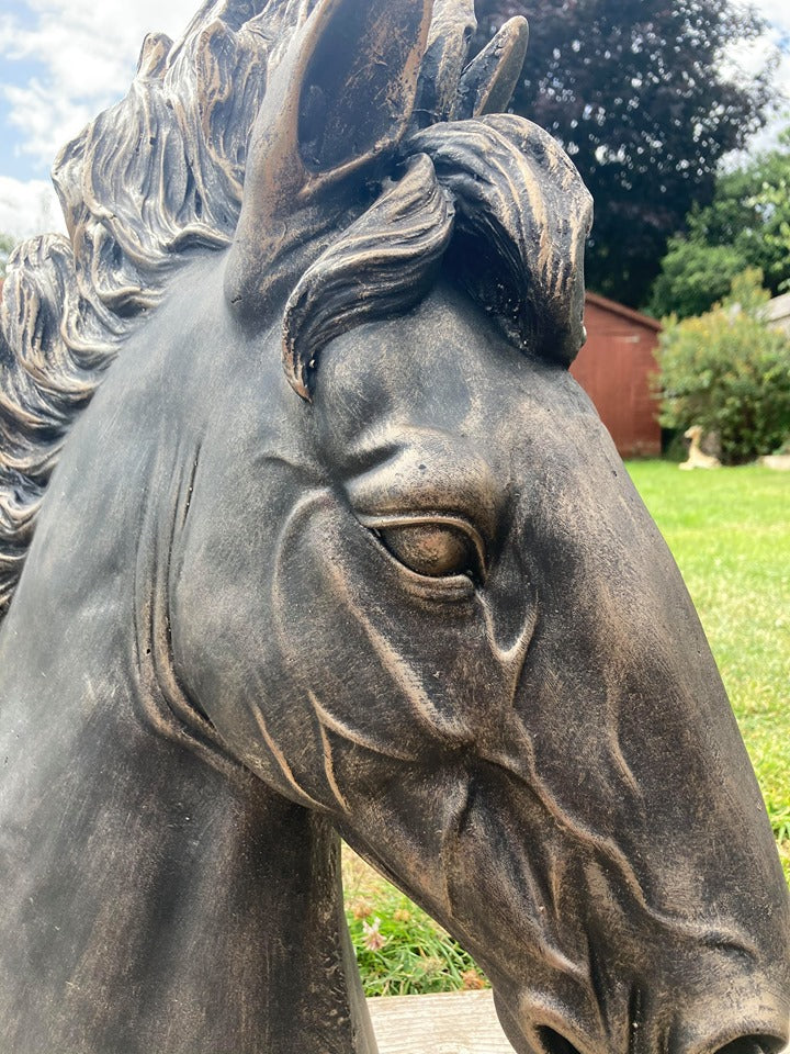 Stunning Stallion Bust