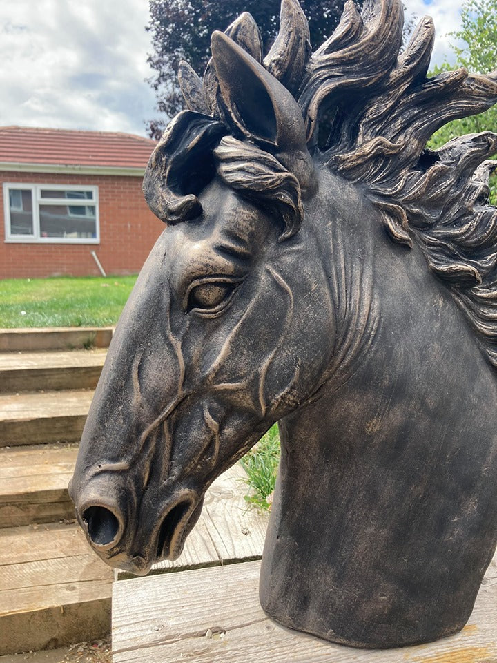 Stunning Stallion Bust