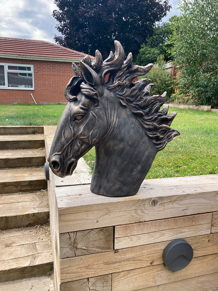 Stunning Stallion Bust