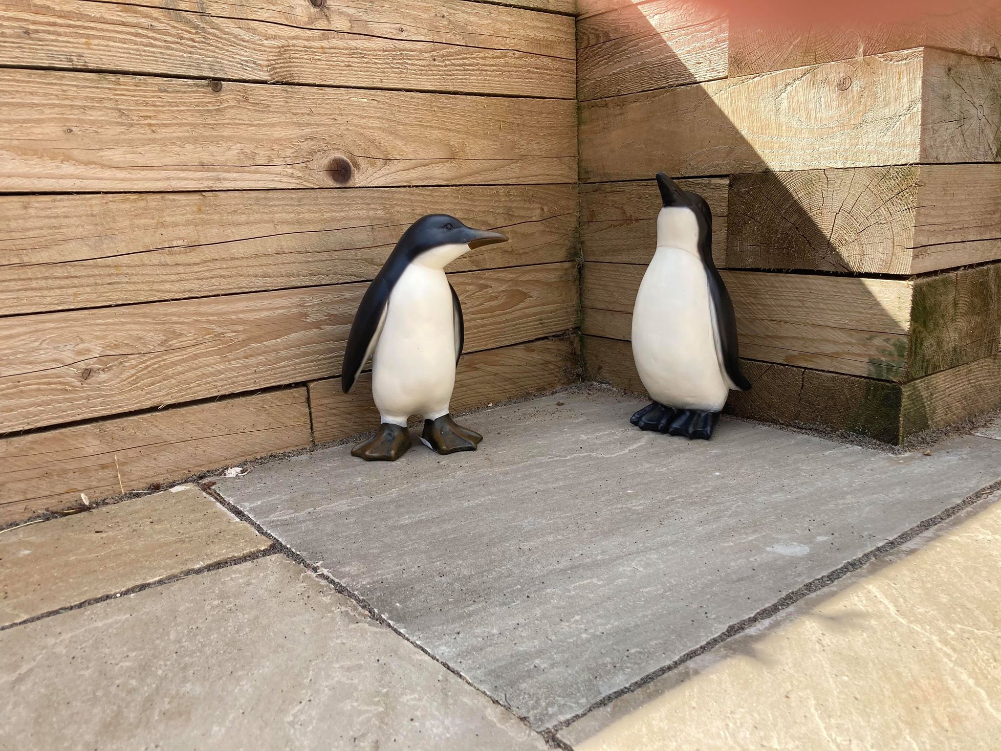 Perky Penguins