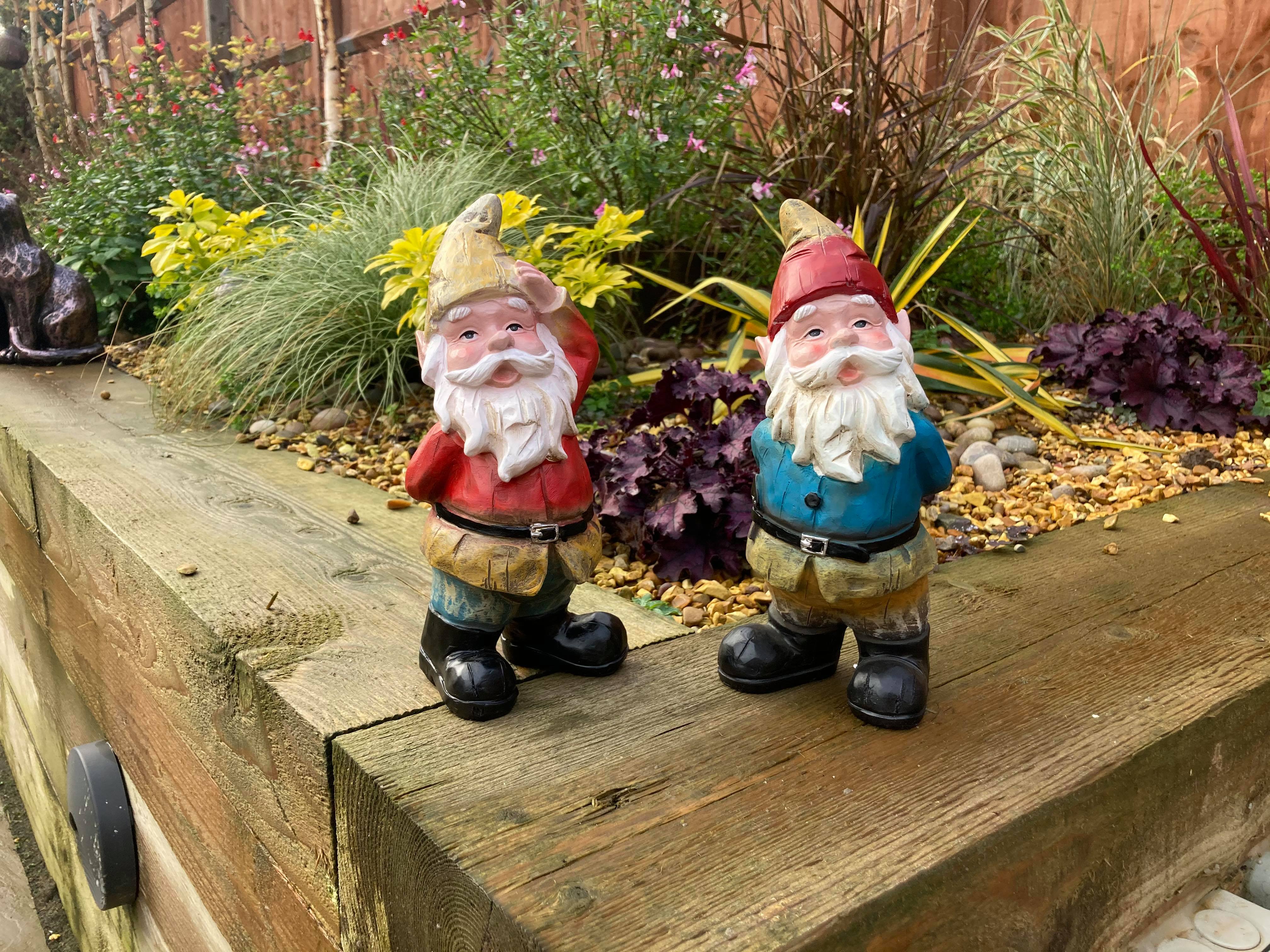 Naughty Gnomes