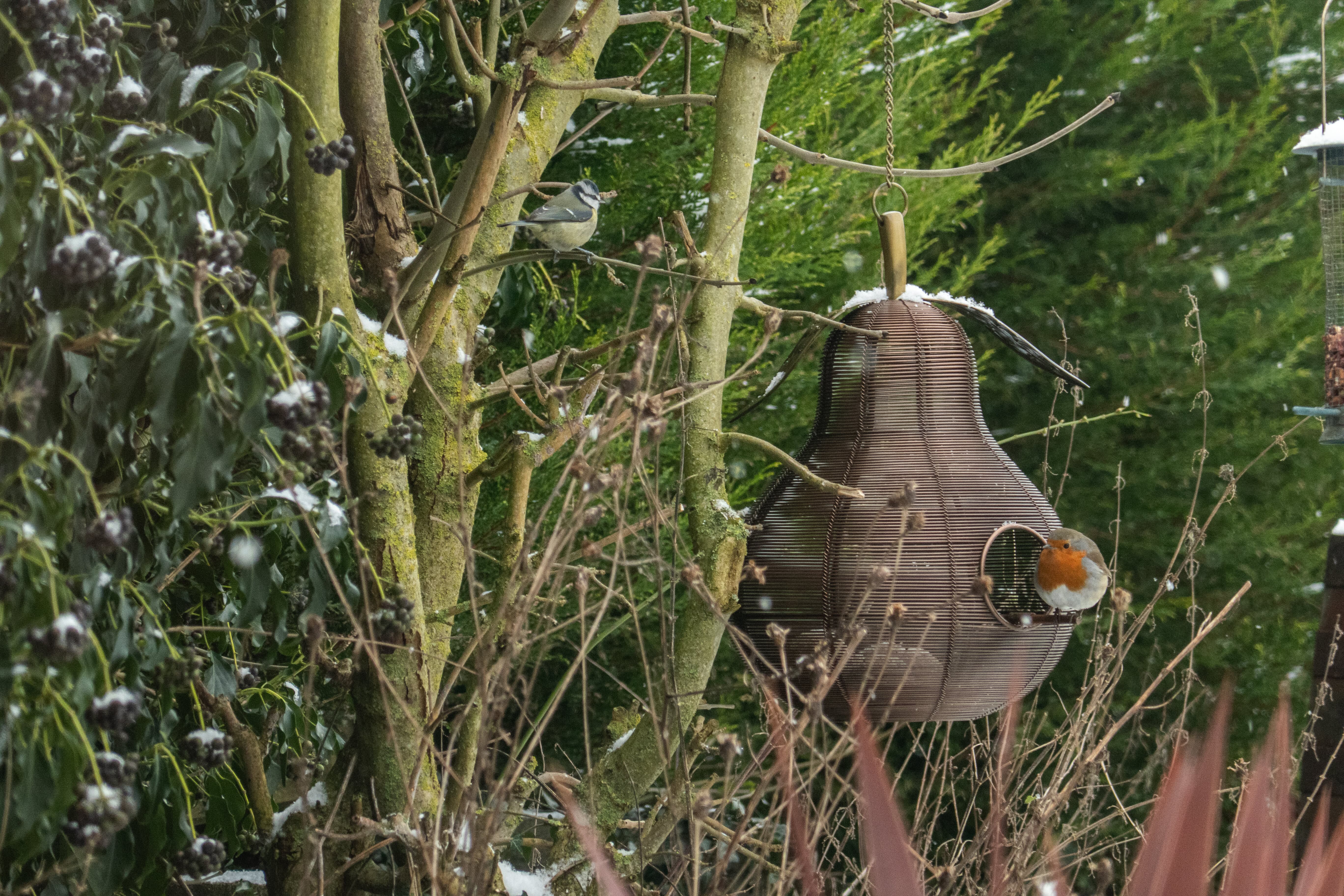 Pear Shaped Copper Bird Feeder