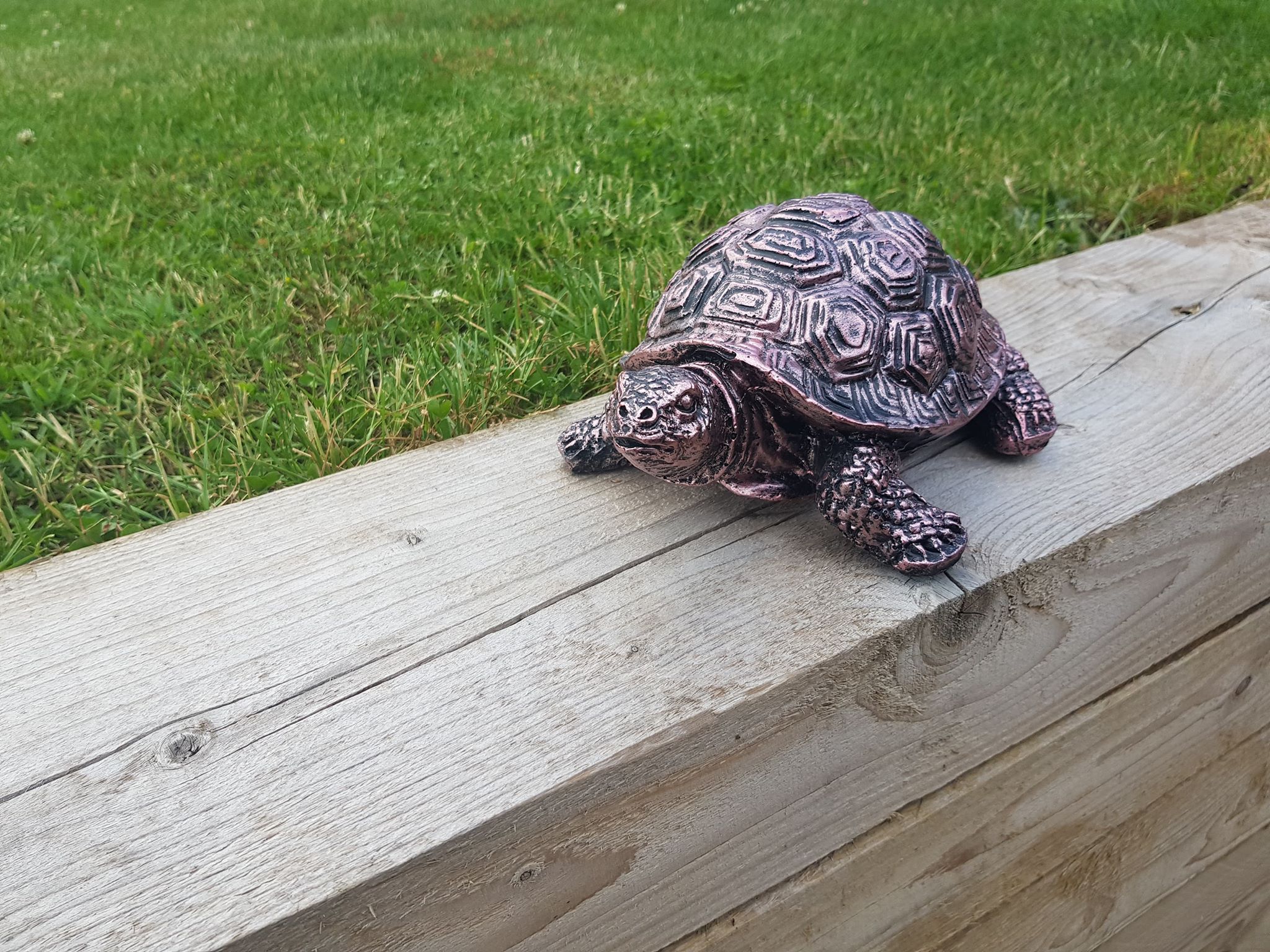 Bronze Effect Tortoise