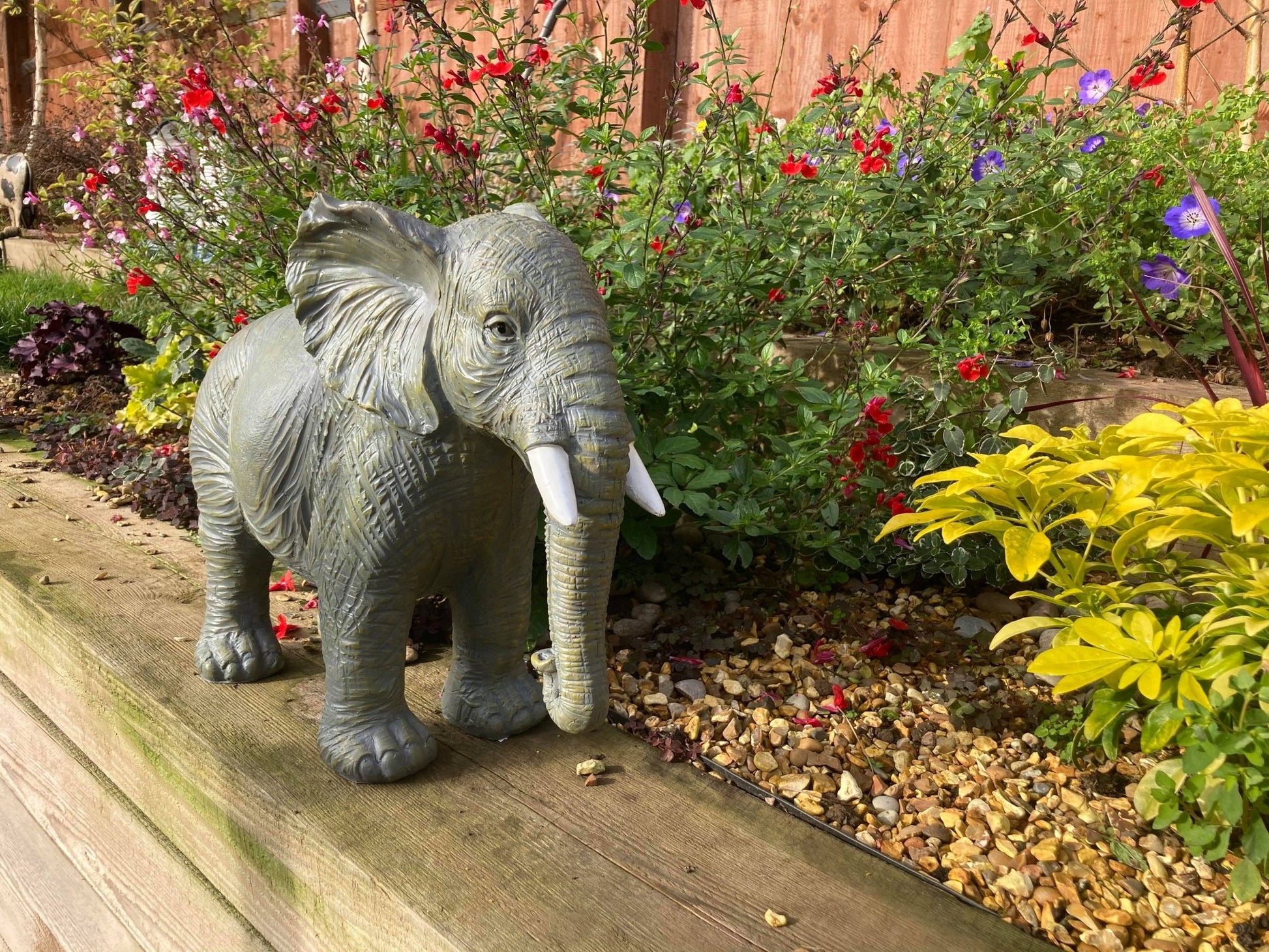 African and Lucky Elephant Set - Backyard Bliss