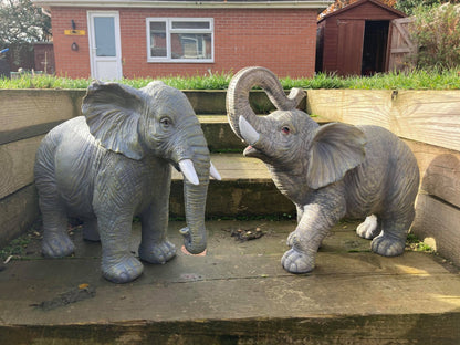 African and Lucky Elephant Set - Backyard Bliss