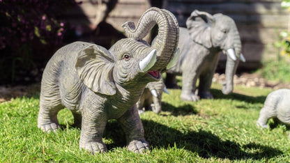 African and Lucky Elephant Set - Backyard Bliss