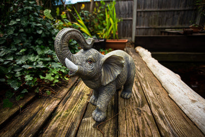 African and Lucky Elephant Set - Backyard Bliss