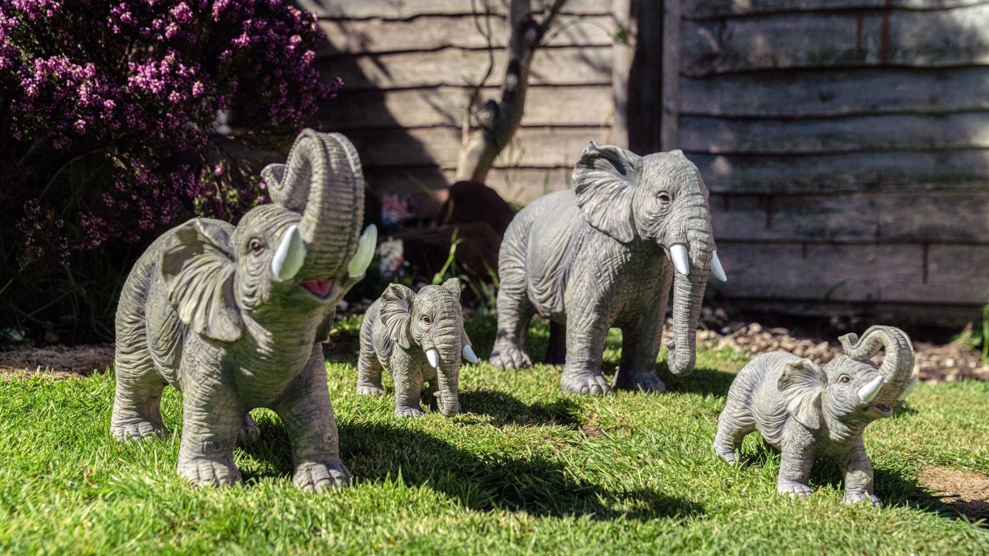 African and Lucky Elephant Set - Backyard Bliss