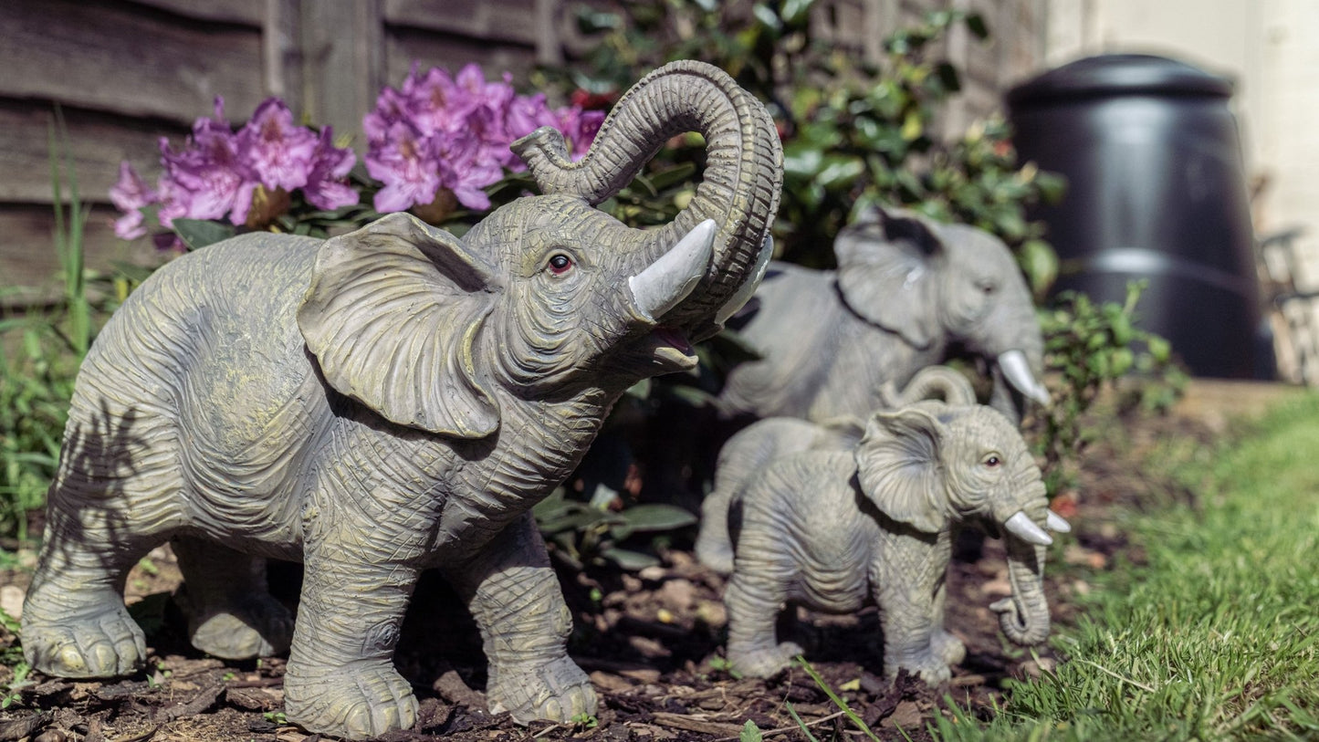 African and Lucky Elephant Set - Backyard Bliss