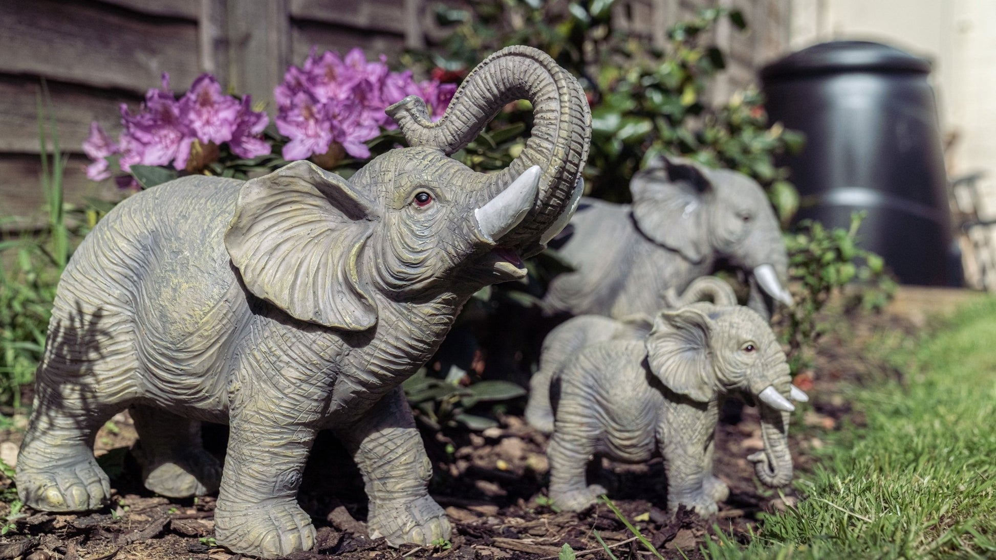 African and Lucky Elephant Set - Backyard Bliss