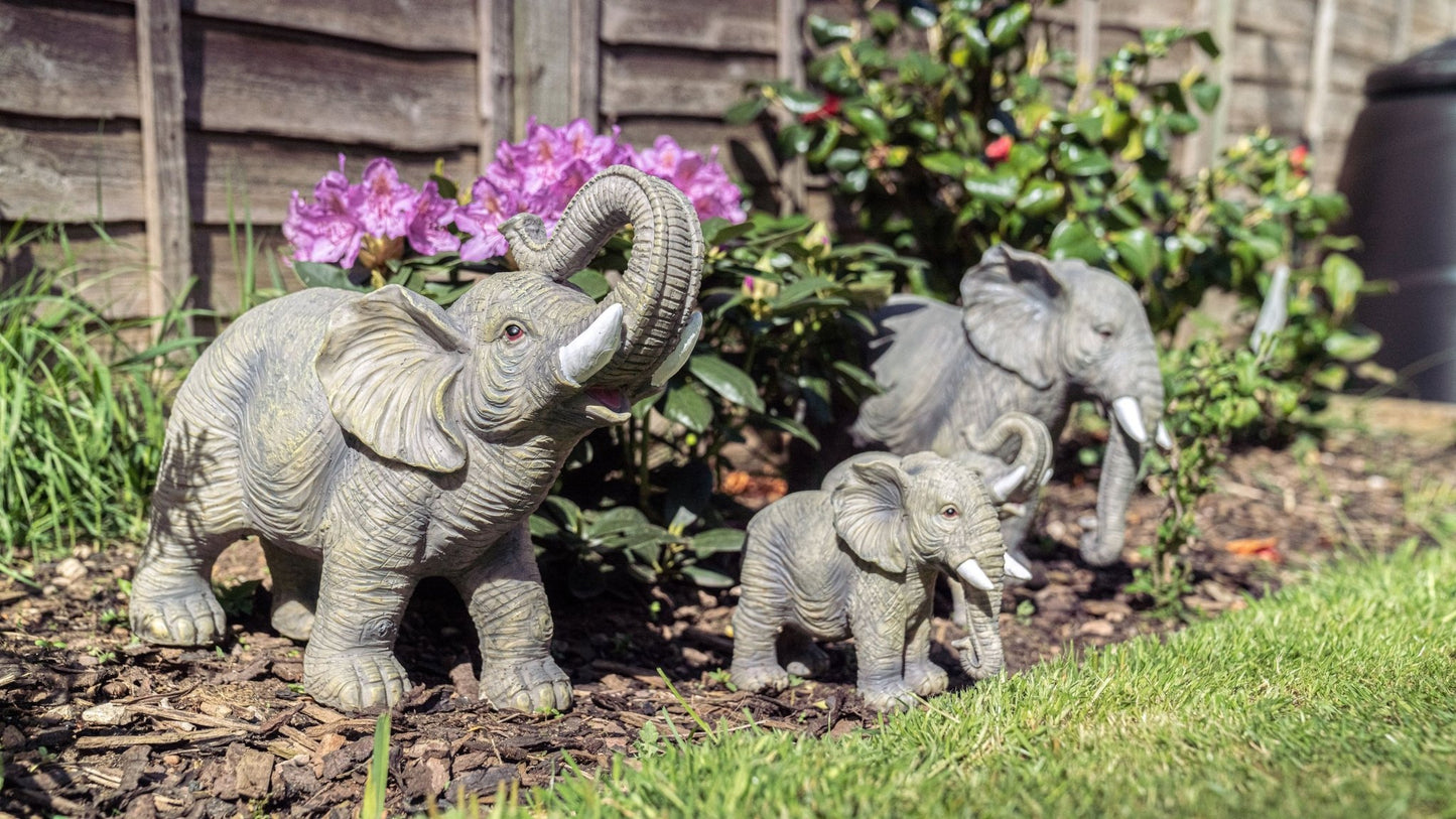 African and Lucky Elephant Set - Backyard Bliss