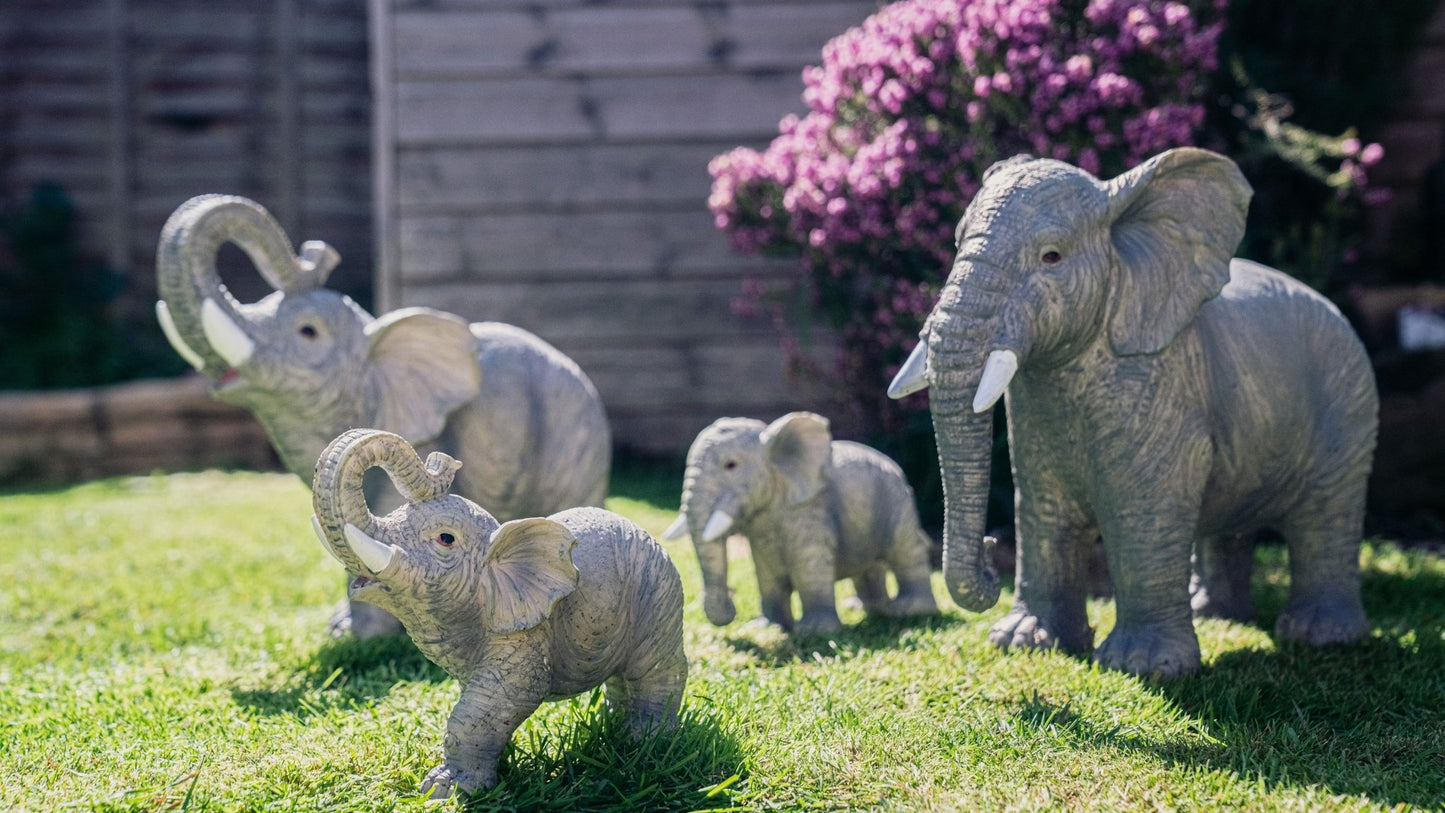 African and Lucky Elephant Set - Backyard Bliss