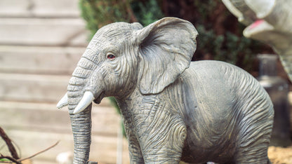 African Elephant - Backyard Bliss