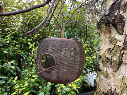 Apple Bird Feeder - Backyard Bliss