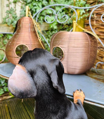 Apple + Pear Bird Feeder Combo - Backyard Bliss