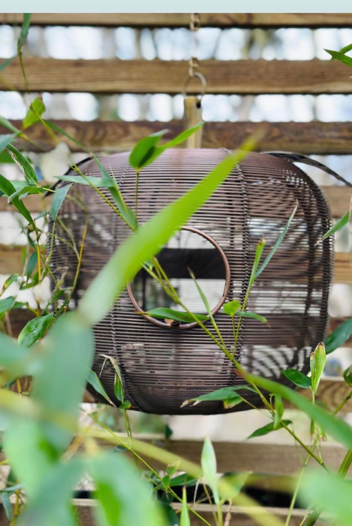 Apple + Pear Bird Feeder Combo - Backyard Bliss