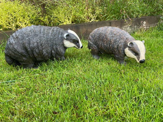 Badger and Badger Cub - Backyard Bliss