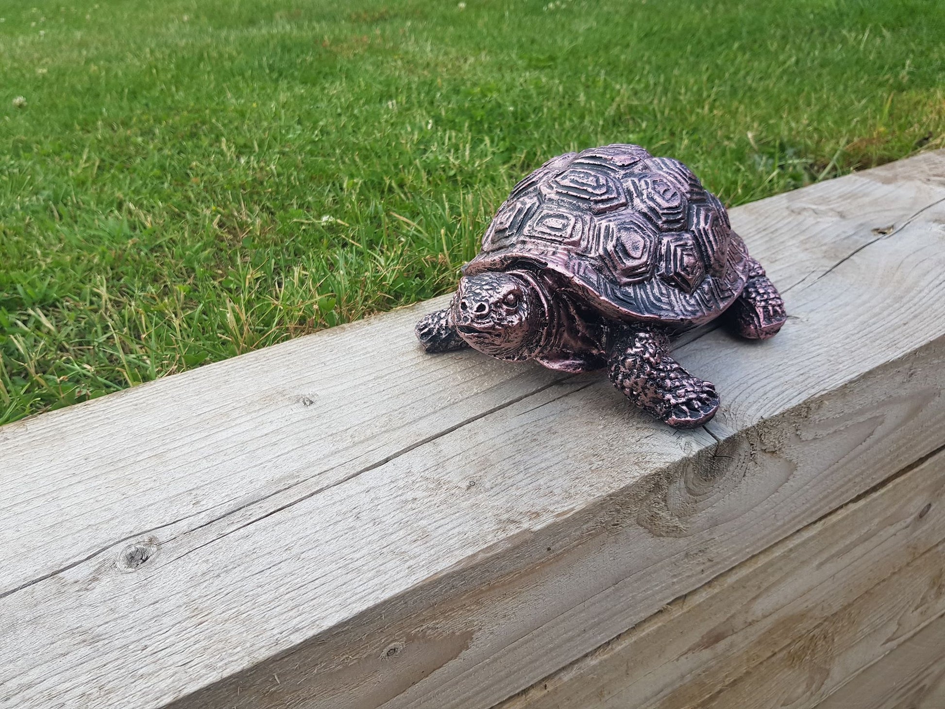 Bronze Effect Tortoise - Backyard Bliss
