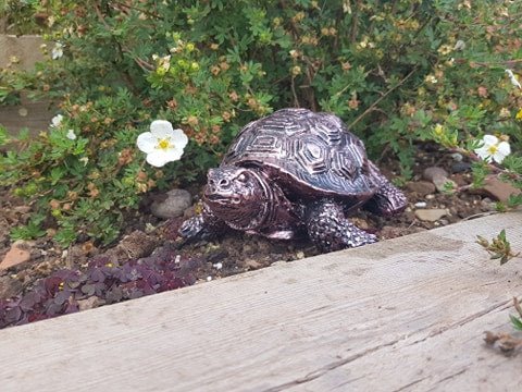 Bronze Effect Tortoise - Backyard Bliss