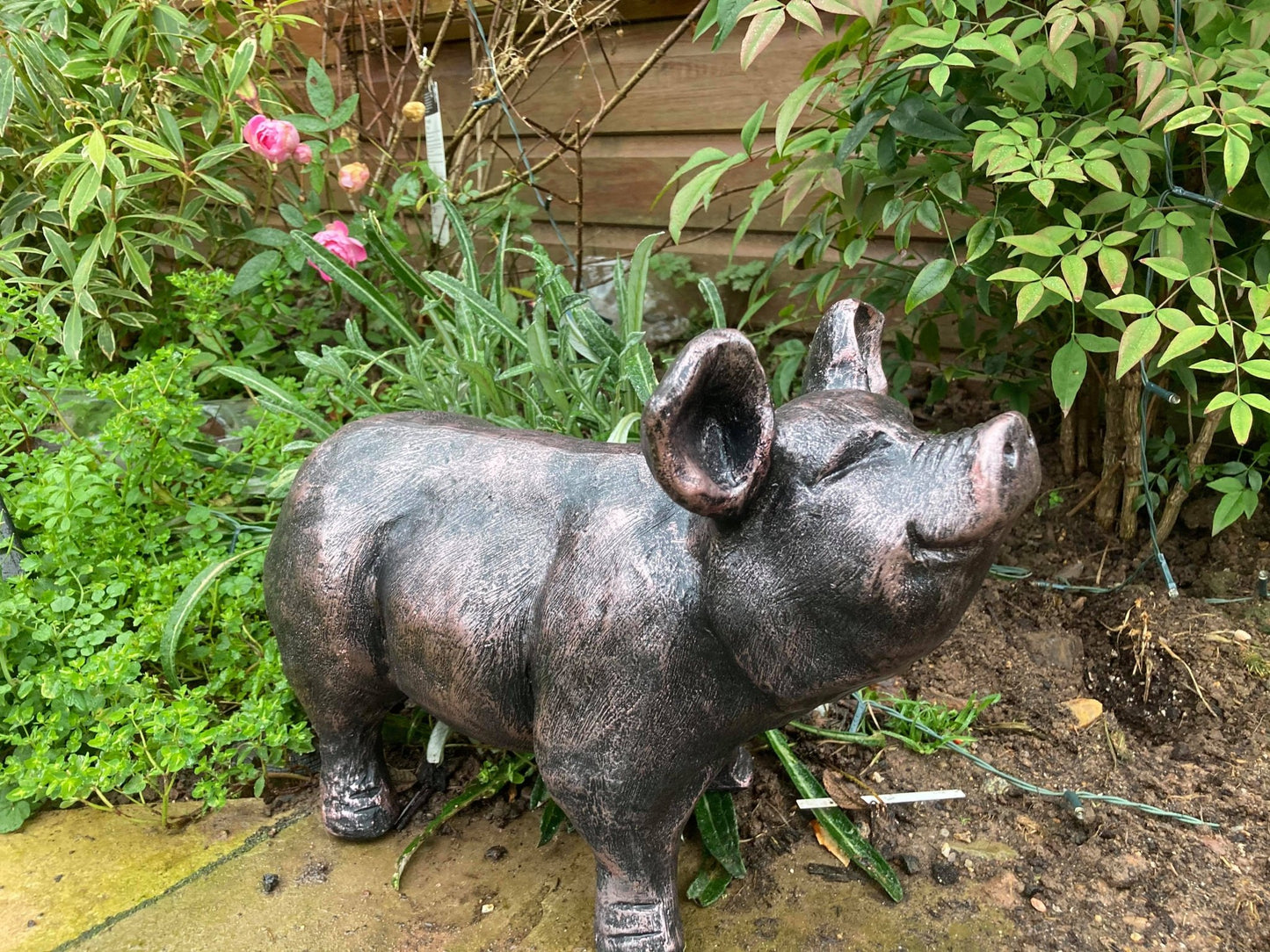 Bronze Happy Pig Garden Ornament - Backyard Bliss
