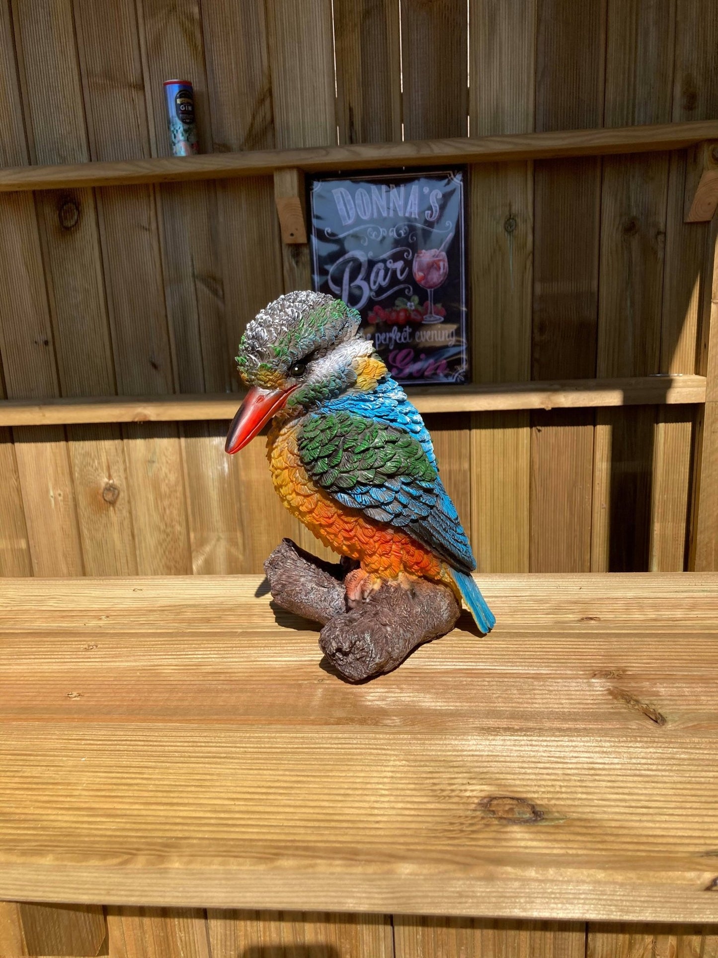 Colourful Kingfisher - Backyard Bliss