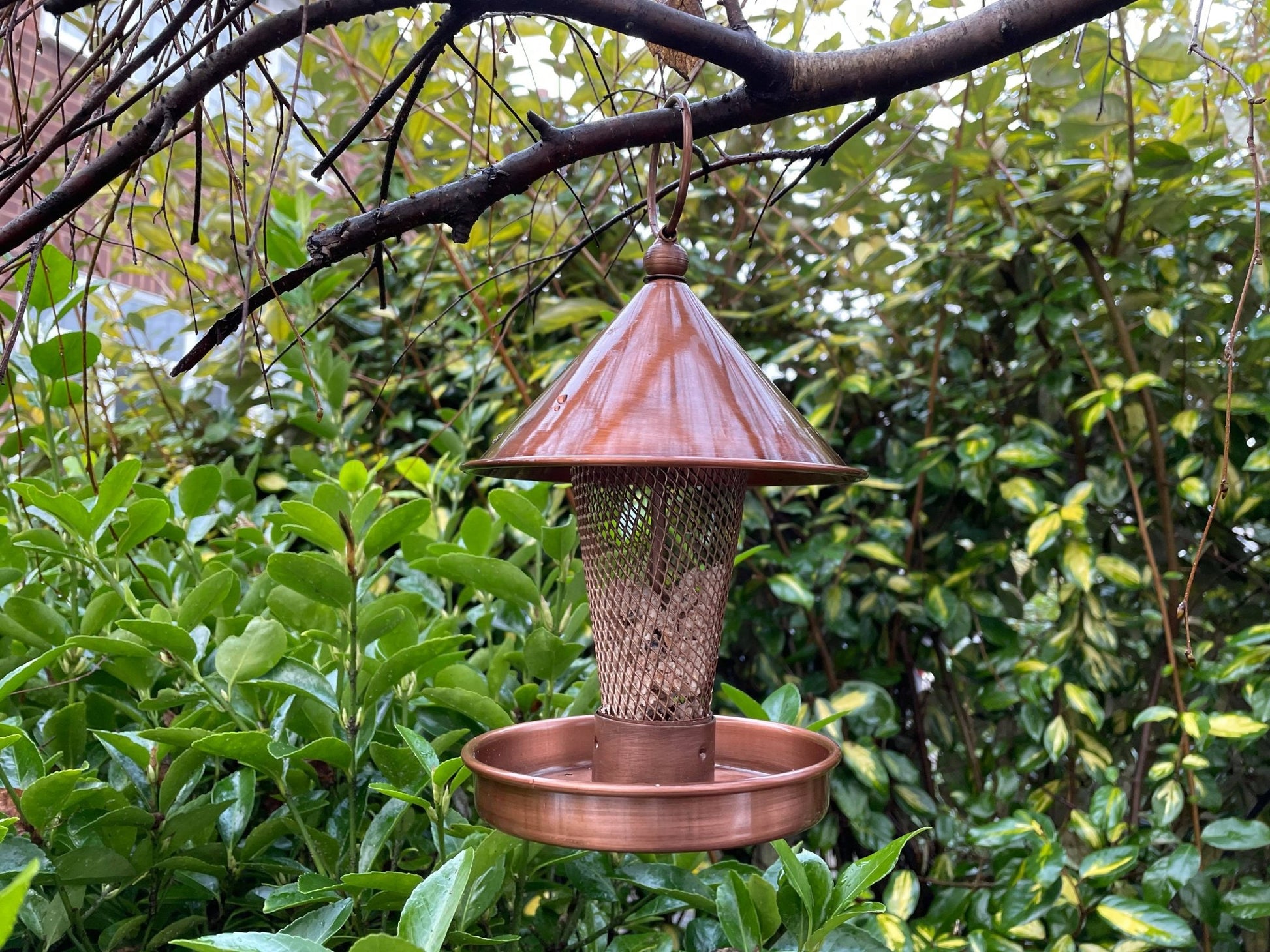 Copper Bird Feeder - Backyard Bliss