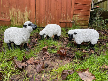 Fuzzy Sheep - Set of 3 - Backyard Bliss
