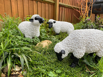 Fuzzy Sheep - Set of 3 - Backyard Bliss