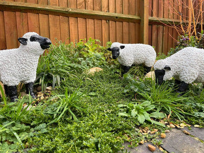 Fuzzy Sheep - Set of 3 - Backyard Bliss