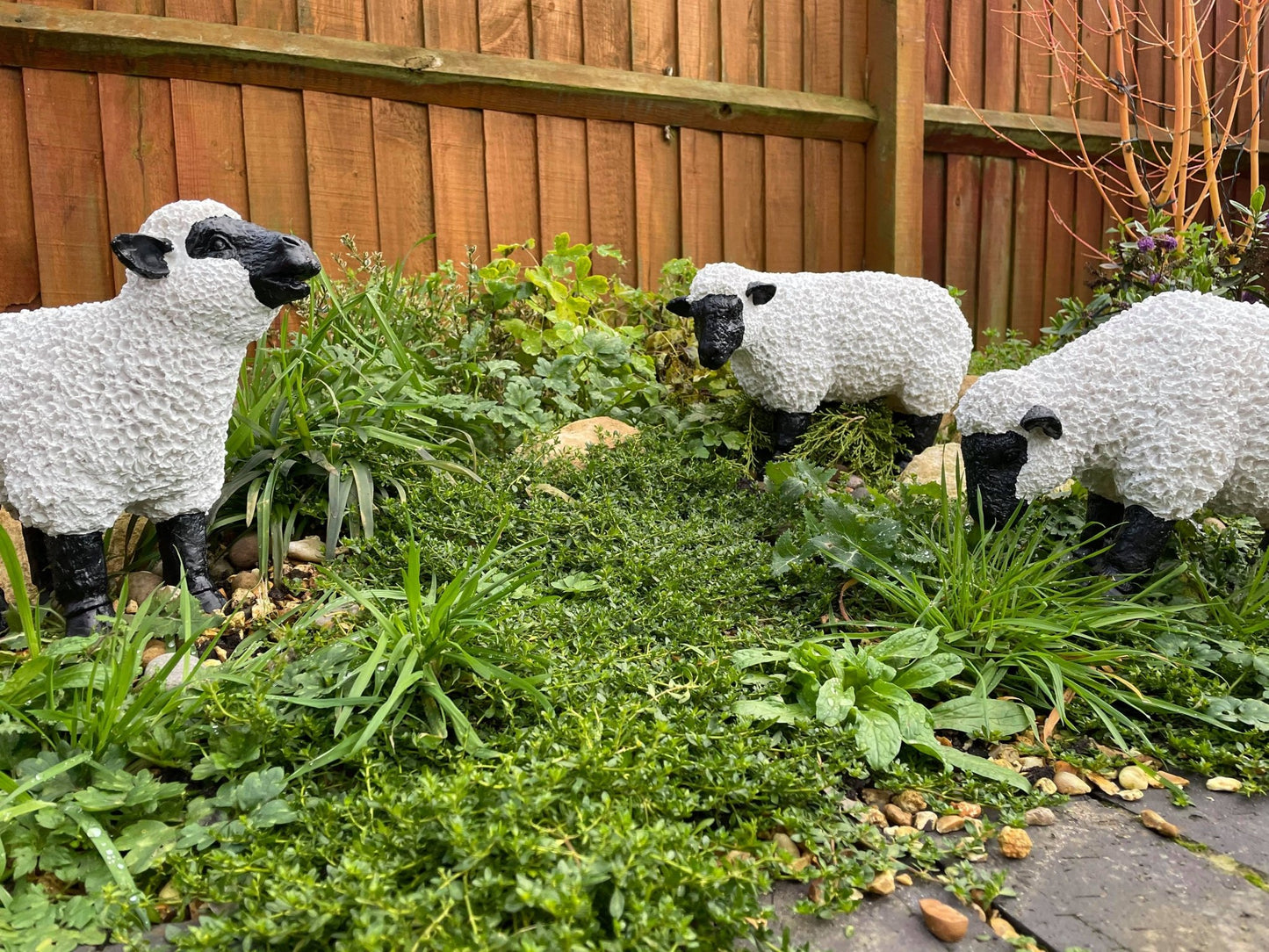 Fuzzy Sheep - Set of 3 - Backyard Bliss