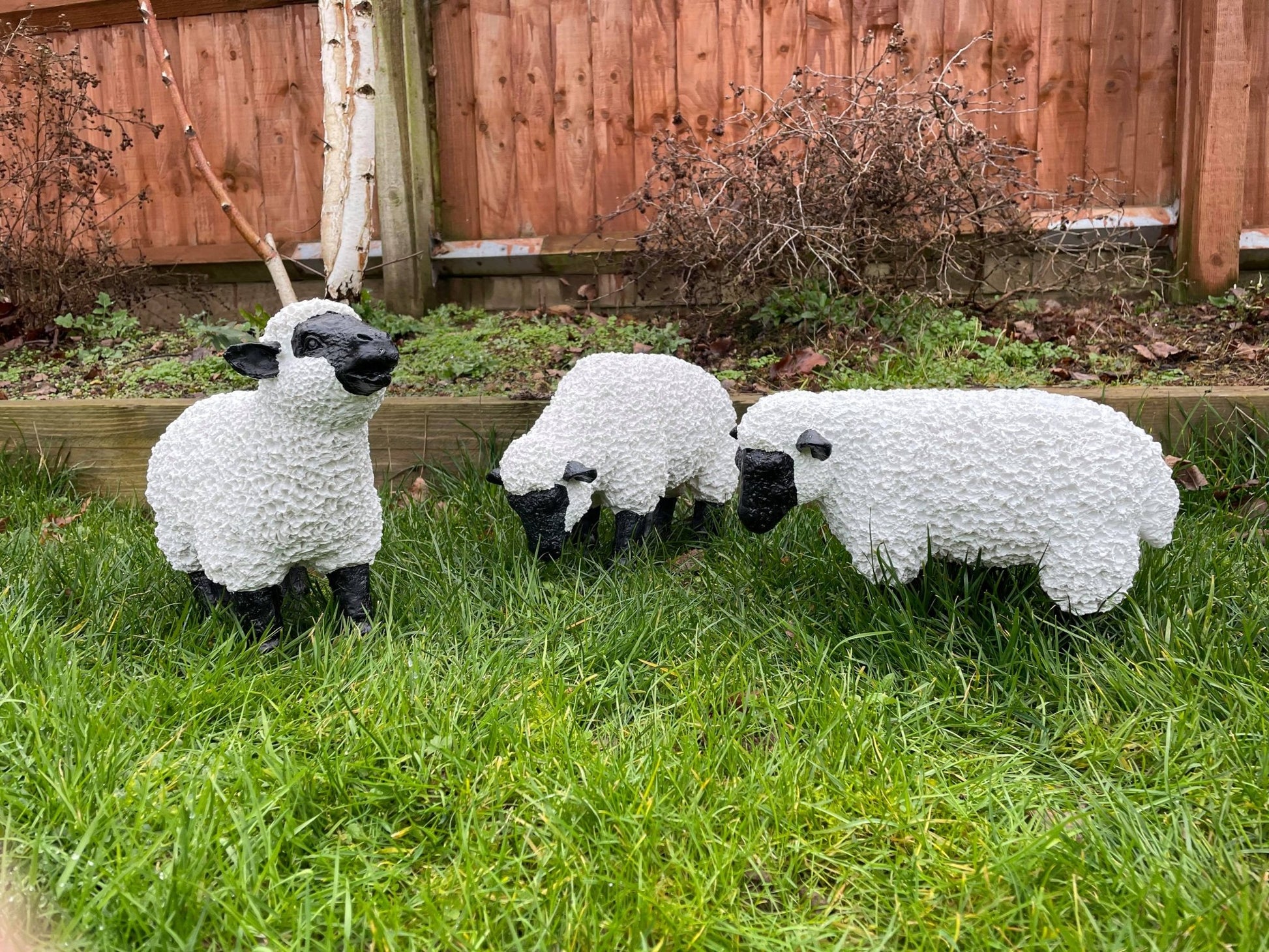 Fuzzy Sheep - Set of 3 - Backyard Bliss
