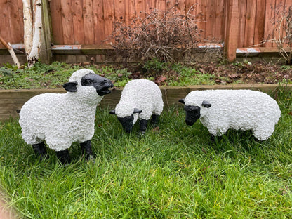 Fuzzy Sheep - Set of 3 - Backyard Bliss